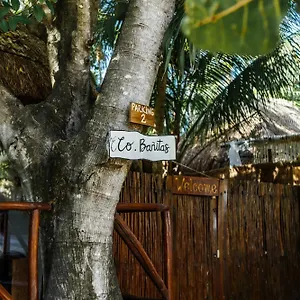  Hotel Eco Banitas Messico